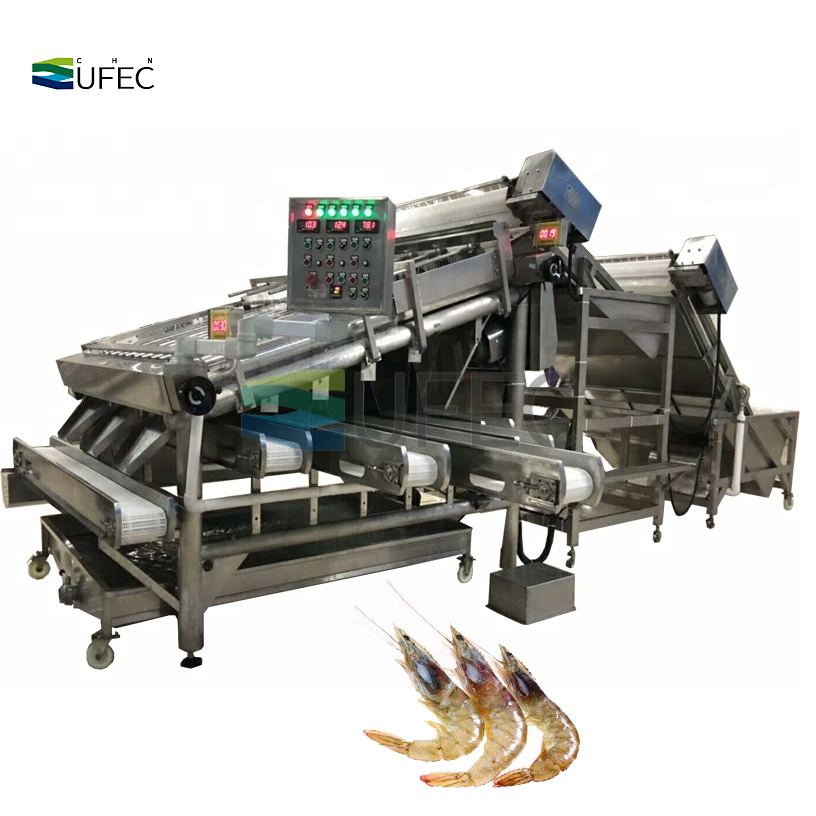 Machine de classement des crevettes de grande capacité Trieuse de crevettes de haute précision pour le traitement des fruits de mer